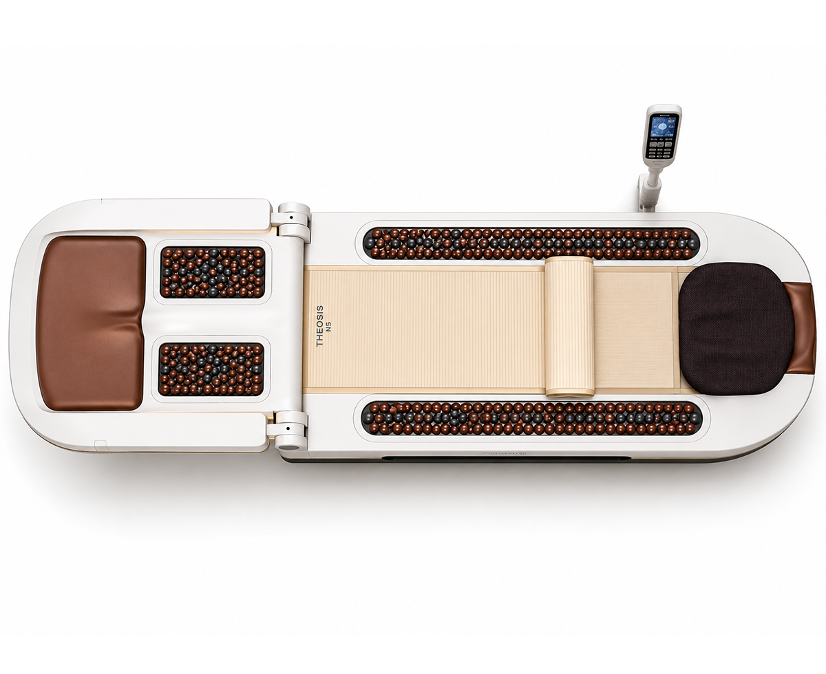 T6 Wellness Bed